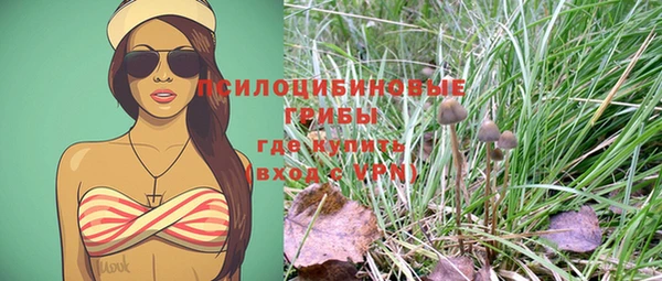 ешки Козловка