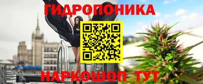 крисы Ипатово