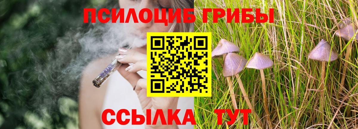 Псилоцибиновые грибы прущие грибы Нефтеюганск