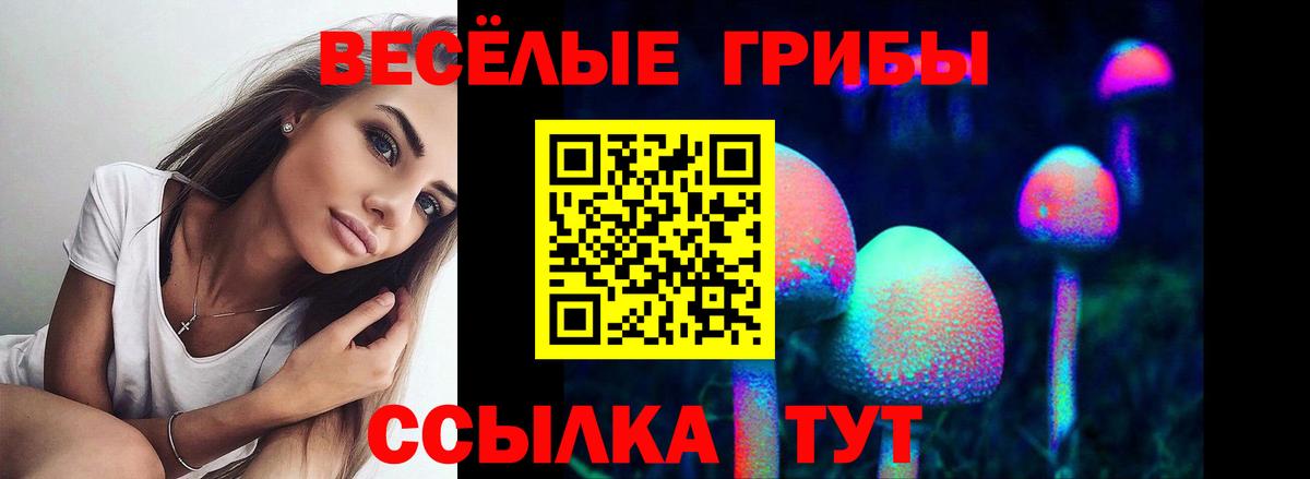 купить наркоту  Вход с VPN  Нефтеюганск  Псилоцибиновые грибы мицелий 